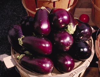 eggplant
