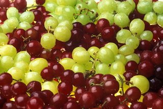 grapes