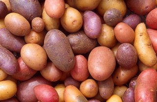potatoes