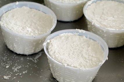 ricotta cheese