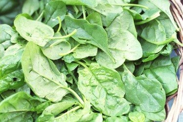 spinach