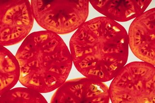tomatoes
